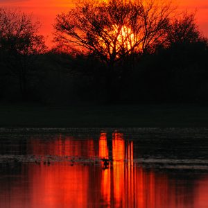 Zachód słońca nad rzeką